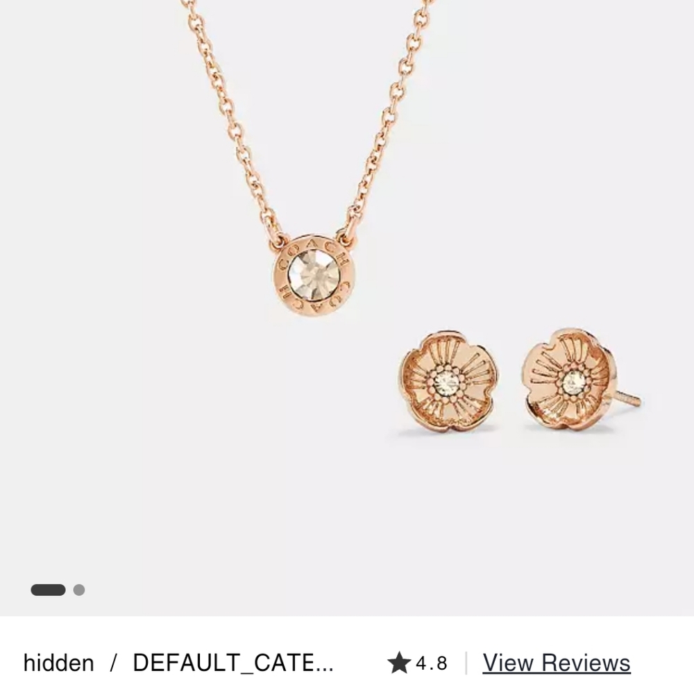 Coach Necklace/Earring set